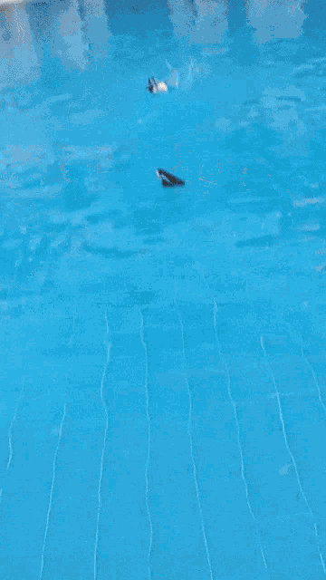 a swimming pool with a white drain on the side