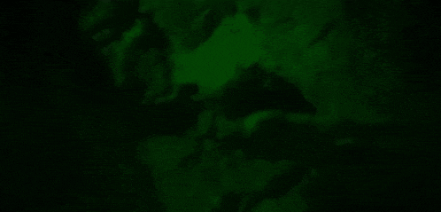 a green background with a blurred image of a tree in the dark .