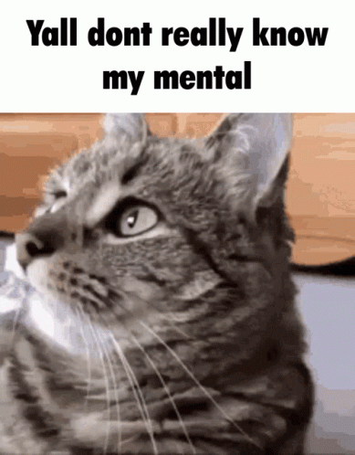 Yall Dont Really Know My Mental Cat GIF - Yall Dont Really Know My Mental Cat GIFs