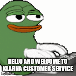 Klarna Customer Service Klarna Cs GIF - Klarna Customer Service Klarna Cs Hello And Welcome To Klarna GIFs