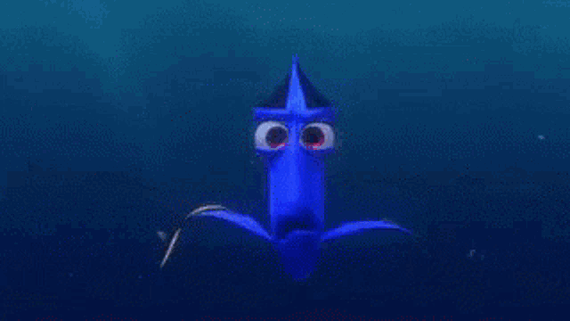 a close up of dory 's eyes from finding dory