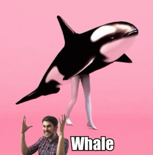Nms Whale GIF - Nms Whale Sean Murray GIFs