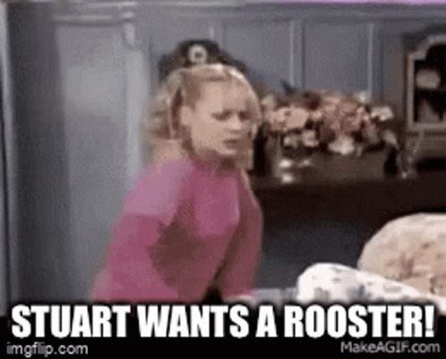 Stuart Rooster GIF - Stuart Rooster Migos GIFs