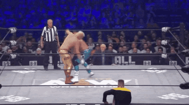 Cody Rhodes Aew GIF - Cody Rhodes Aew Wrestling GIFs