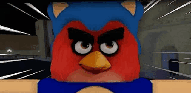 a red angry bird wearing a blue sonic hat