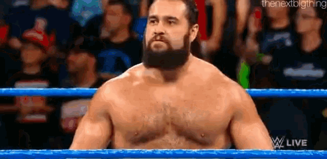 a shirtless wrestler with a beard is standing in a wrestling ring .