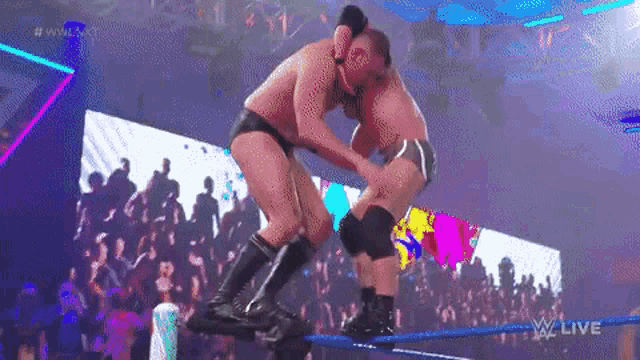 a couple of men are wrestling in a ring .