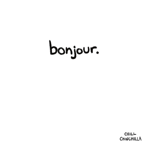 a cartoon drawing of a mouse with the words bonjour written below it