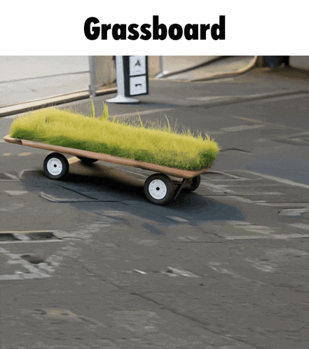a skateboard with grass on it that says grassboard on the top