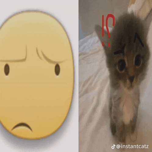 a picture of a cat next to a picture of a smiley face