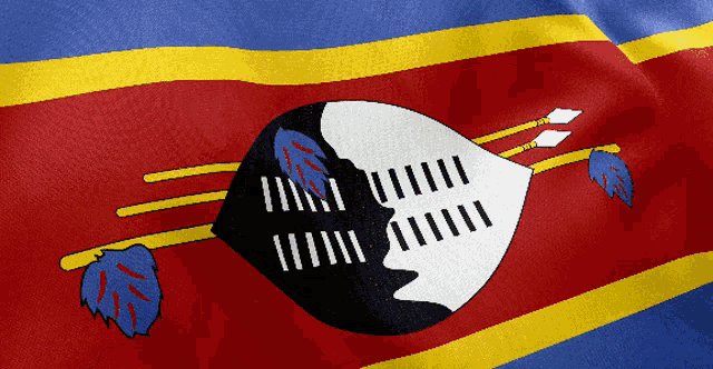 a close up of a flag with a shield and arrows