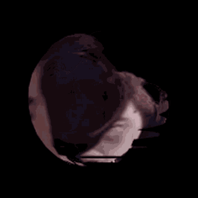 a sphere that looks like a face with a black background