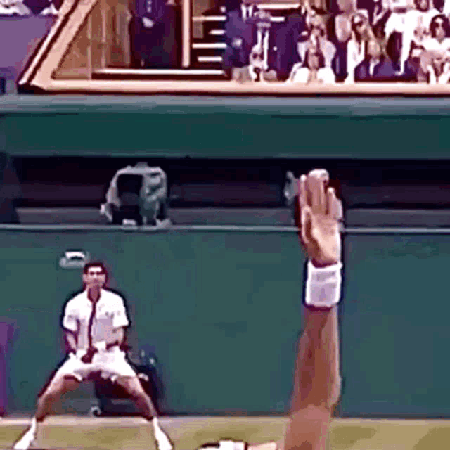 Novak Djokovic Return Of Serve GIF - Novak Djokovic Return Of Serve Tennis GIFs