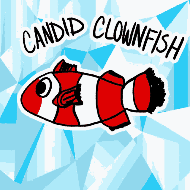 Candid Clownfish Veefriends GIF - Candid Clownfish Veefriends Truthful GIFs