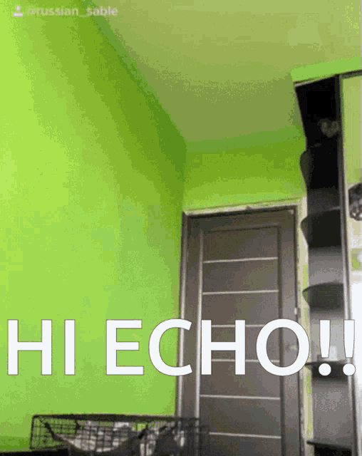Hi Hello GIF - Hi Hello Echo GIFs
