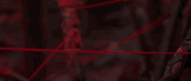 Red Forest GIF - Red Forest Woods GIFs