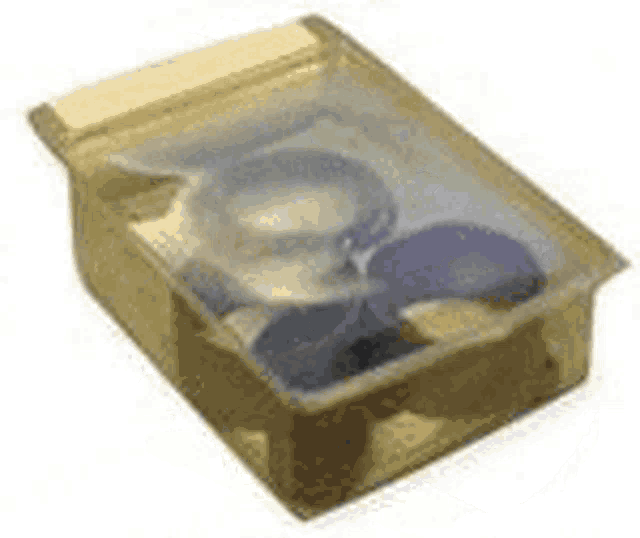 a plastic box filled with a variety of objects .