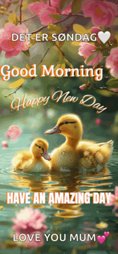 a picture of ducklings in the water with the words good morning happy new day love you mum