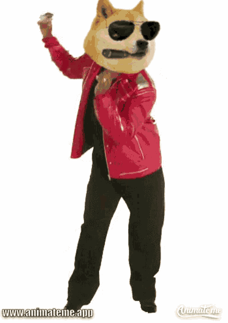 a doge wearing a red jacket and black pants