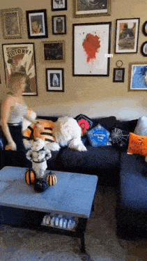 a woman is playing with a dog on a couch in front of a wall with pictures and a poster that says victory
