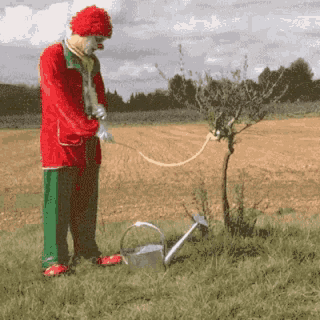 Clown Tree GIF - Clown Tree Water GIFs