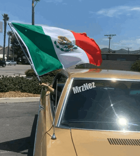 a car with a sticker that says mrznez on it