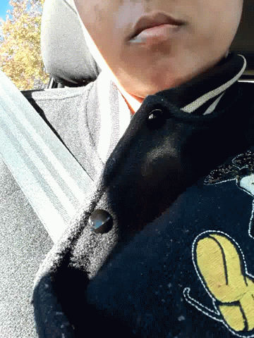 Delfir Car GIF - Delfir Car Seatbelt GIFs