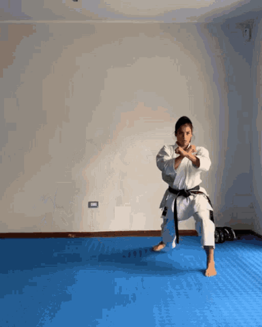 Yoko Geri Karate GIF - Yoko Geri Karate Karate Feet GIFs
