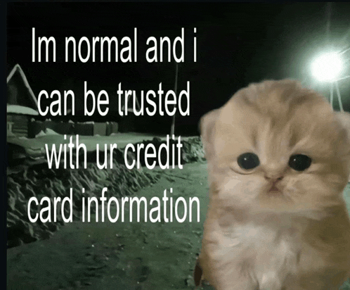 a picture of a kitten with the words im normal and i can be trusted with ur credit card information on it