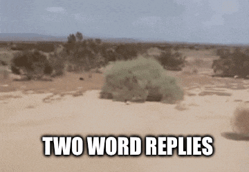 a blurred image of a desert with the words two word replies above it