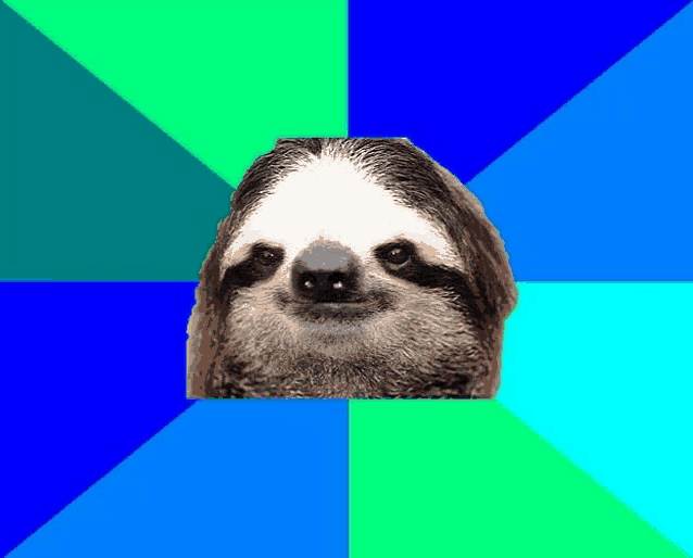 a sloth 's face is surrounded by a blue and green background