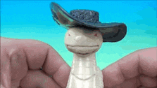 a toy snake wearing a cowboy hat is being held in someone 's hands .