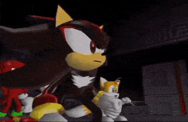 shadow the hedgehog and tails from sonic the hedgehog are standing next to each other in a video game .