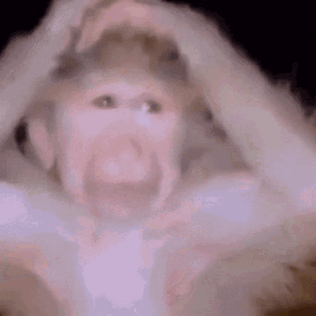 Riquelme Monkey GIF - Riquelme Monkey Cry GIFs