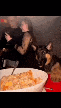 Dog Eating Goofy Dog GIF - Dog Eating Goofy Dog Dog GIFs