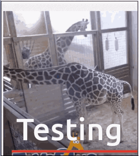 Testing Giraffe GIF - Testing Giraffe Zoo GIFs