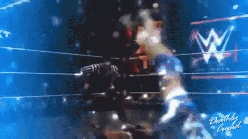 a blurry picture of a wrestling match with the letter w on the bottom