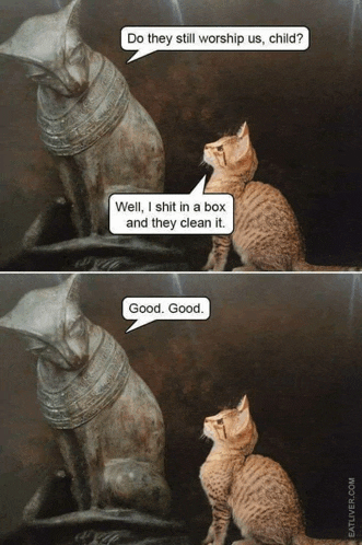 two cats are talking to a statue and one of them says " do they still worship us child "