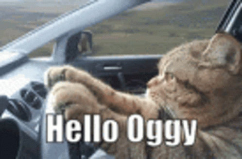 Hello Oggy Ogmesiter GIF - Hello Oggy Ogmesiter Hello Ogmeister GIFs