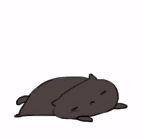 two cats are laying on top of each other on a white background .