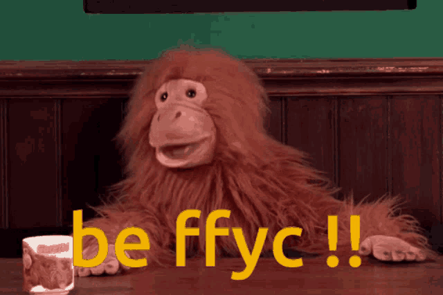 a stuffed monkey with the words be ffyc written in yellow