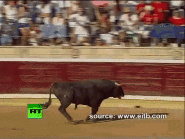 a bull is running in a ring with a green rt logo in the corner