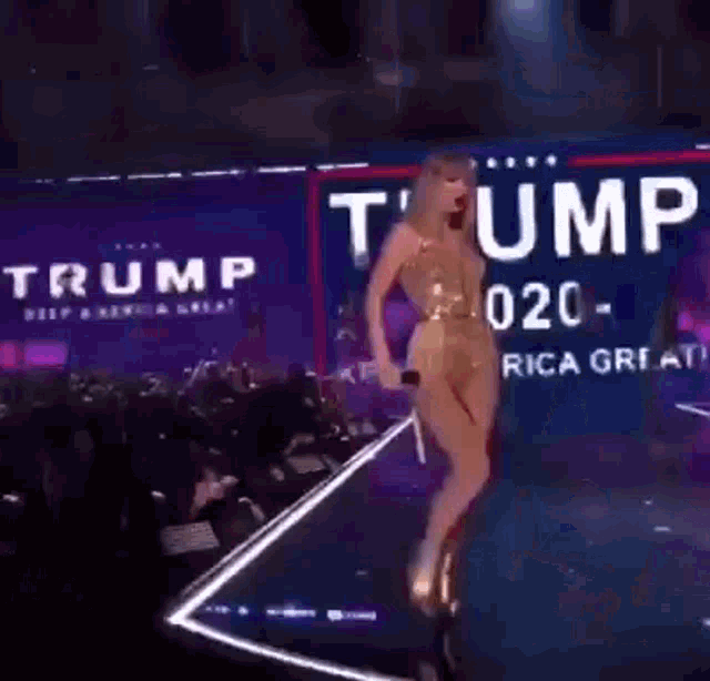 Taylor Swift Trump Supporter GIF - Taylor Swift Trump Supporter GIFs