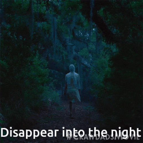 Disappear Into The Night GIF - Disappear Into The Night GIFs