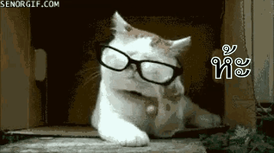 a cat wearing glasses is sitting in a box and looking at the camera .