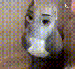 a close up of a person 's face with a dragon mask on