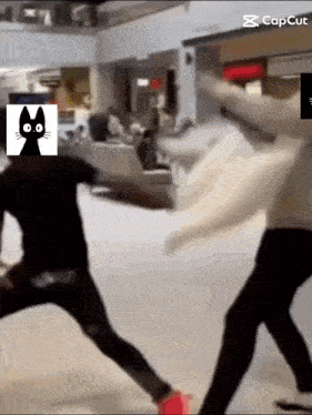 two people are fighting in a mall with a picture of a cat in the background ..