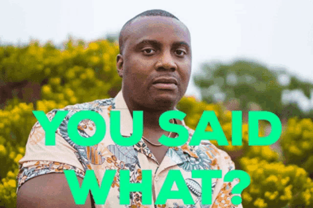 a man stands in front of a field of yellow flowers with the words " you said what " written above him