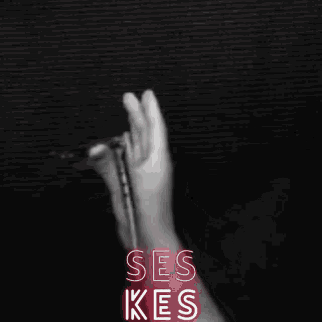 Seskeslo GIF - Seskeslo GIFs