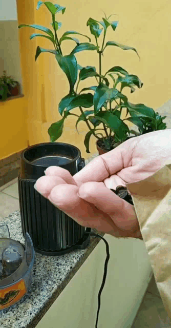 a person is holding a plant in their hand in front of a plant